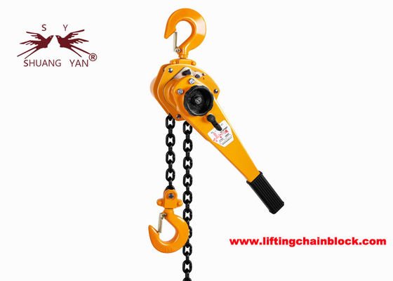 Manual Lift Speed Lever Chain Hoist with Top And Bottom Hooks and Polish Chain Color
