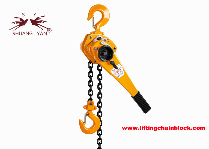 Manual Lift Speed Lever Chain Hoist with Top And Bottom Hooks and Polish Chain Color