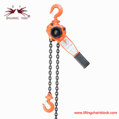 Lever Chain Hoist New Type New Model 1000kg 1Ton 1.5 Meters Load Chain G80 Alloy Steel Material