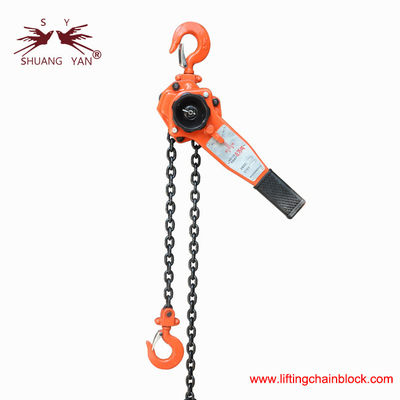 Ratchet Chain Hoist Operated by Lever 750kg 0.75Ton New Type Customized Chain length G80 Alloy Steel 20Mn2 Chain