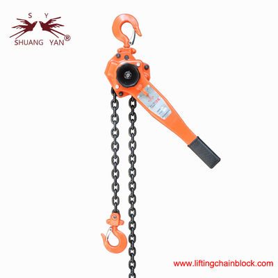 Ratchet Chain Hoist Operating Lever by Hand 1500kg 1.5Ton G80 Alloy Steel Chain Above 4 times Breaking Force New Type