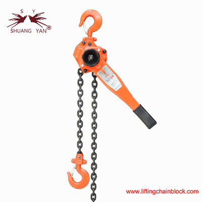 Ratchet Chain Hoist Operating Lever by Hand 2000kg 2Ton G80 Alloy Steel Chain Above 4 times Breaking Force New Type
